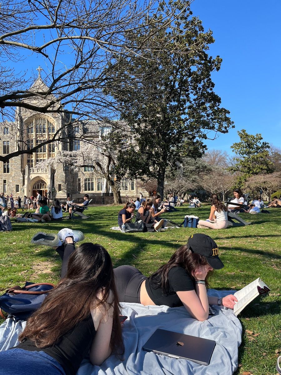 Шинэ Зеланд - Image 3